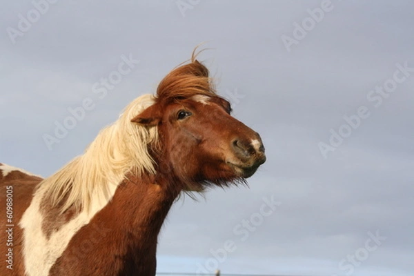 Obraz Ponette qui se secoue