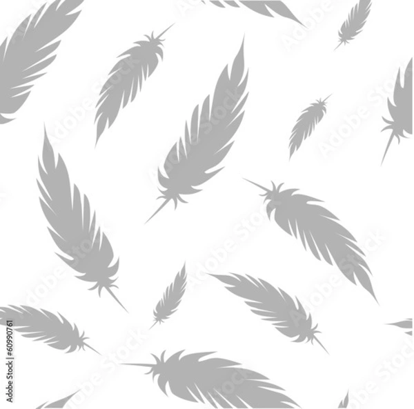 Fototapeta White pattern with grey feathers vector