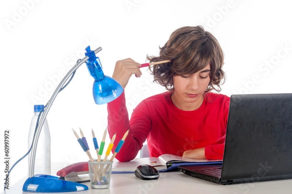 Fototapeta Making homework