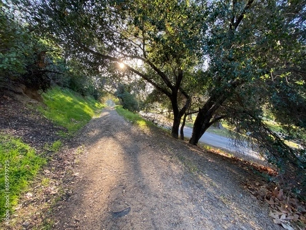 Obraz griffith park path