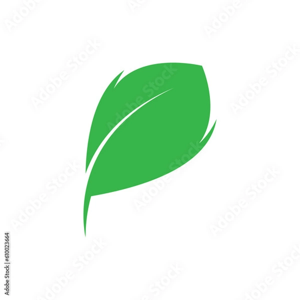 Obraz green leaf logo design vector icons