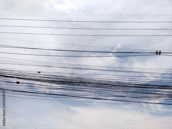 Obraz Sky with electric line 