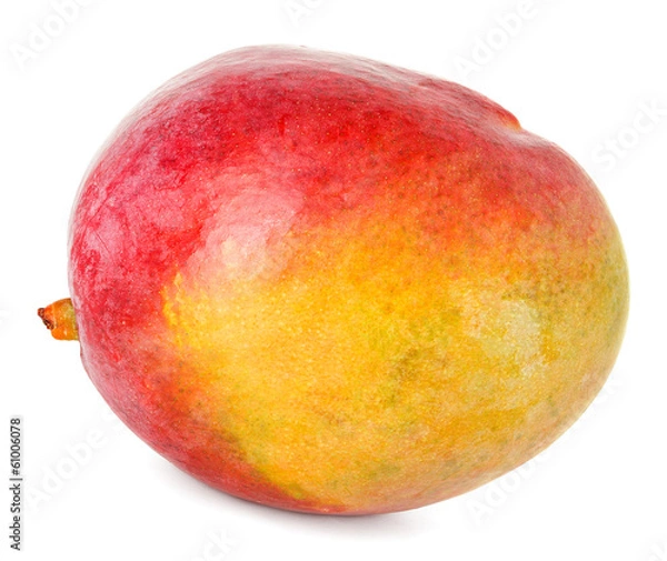 Obraz mango isolated