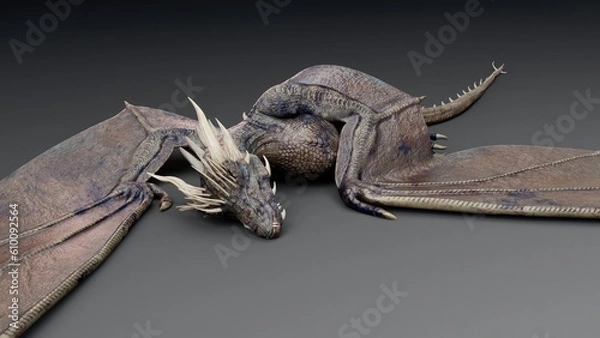 Obraz Wyvern type Dragon pose render of background. 3d rendering
