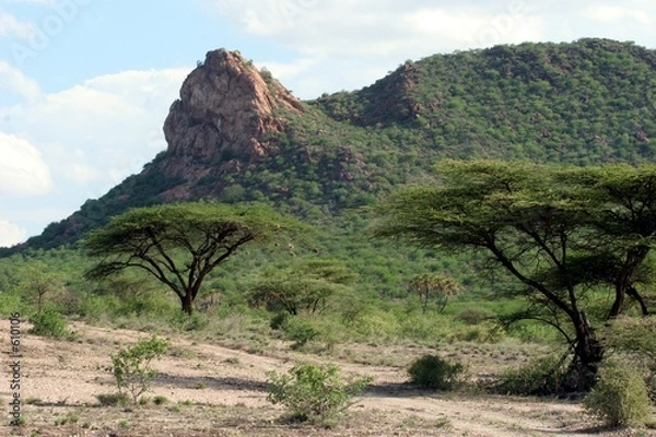 Obraz paysage samburu