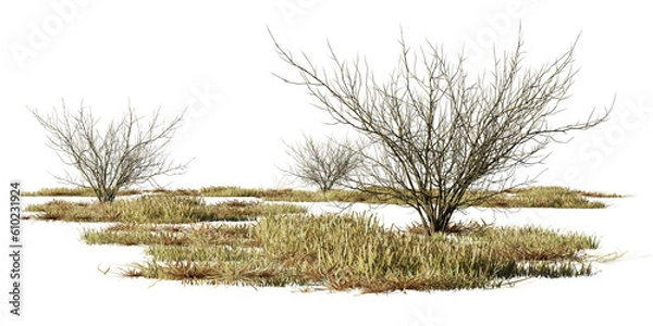 Obraz dry bushes and grass, desert scene cut-out, isolated on transparent background