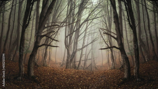 Obraz mysterious woods landscape with scary trees