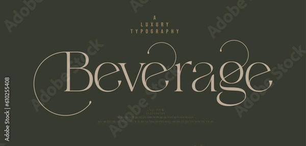 Obraz Elegant wedding logo alphabet letters font. Typography luxury classic lettering serif fonts decorative vintage retro logos and number. vector illustration