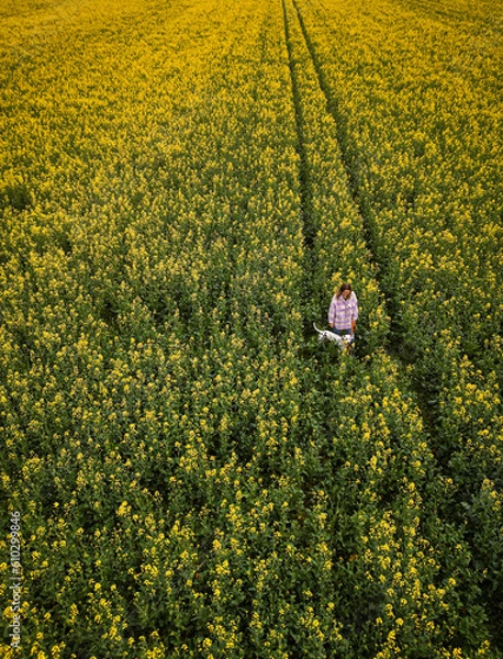 Fototapeta Junge Frau mit Dalmatiner (Hund) in Rapsfeld
