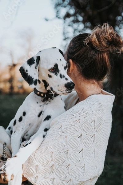Fototapeta Dalmatiner auf den Armen einer jungen Frau