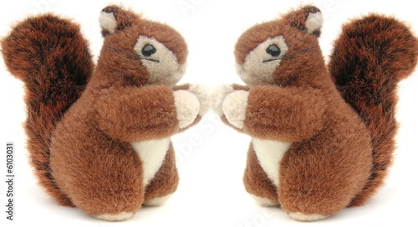 Obraz red squirrels