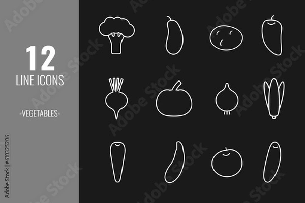Fototapeta Set of food line icons isolated on black background. Vector illustration.