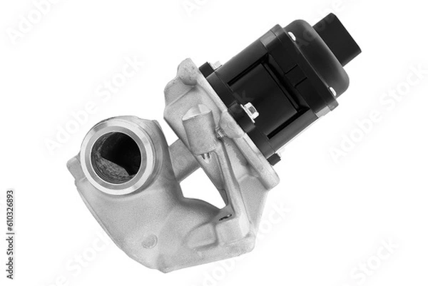 Obraz egr valve