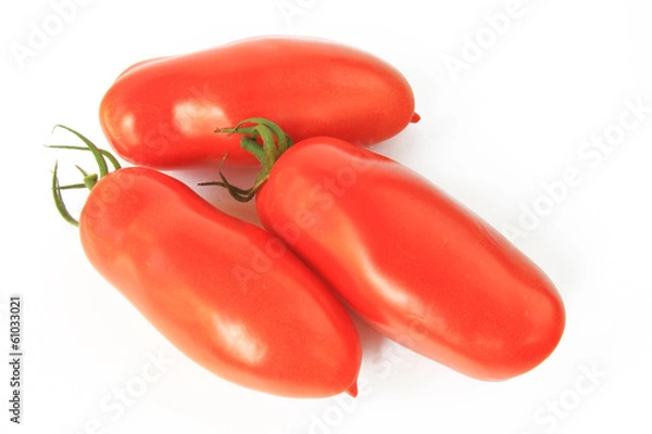 Obraz Pomidor ketchup