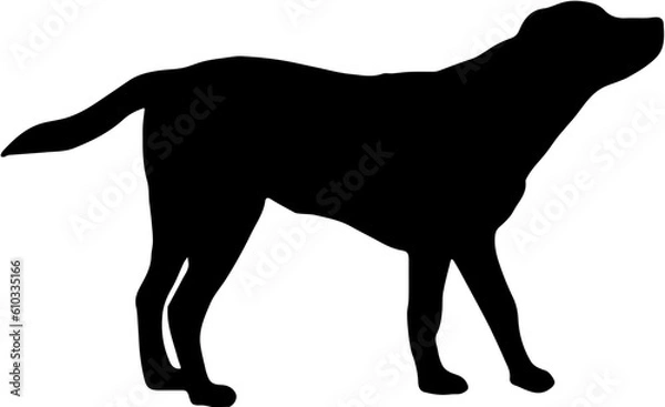 Obraz Dog silhouette vector