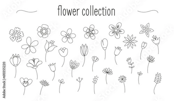 Obraz Collection of minimalist designs of flowers