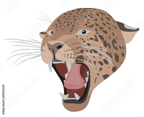 Obraz Roaring jaguar illustration. Realistic vector.