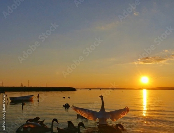 Obraz sunset on the sea