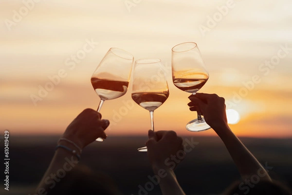 Fototapeta Young people clinking glasses with wine at summer sunset. Happy friends enjoying happy hour at nature. Life style concept with friends.