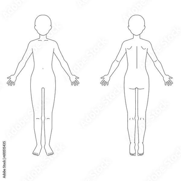 Fototapeta 全身シェーマ図