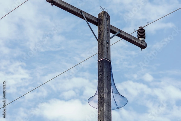 Fototapeta Nylon mesh or snake guard net around electric pole for protect animals climbing with sky background