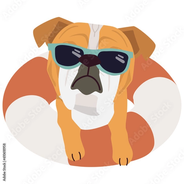 Fototapeta Happy Bull dog with sunglasses and floating ring, air mattress for summer