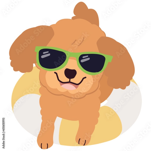 Obraz Happy Poodle dog with sunglasses and floating ring, air mattress for summer