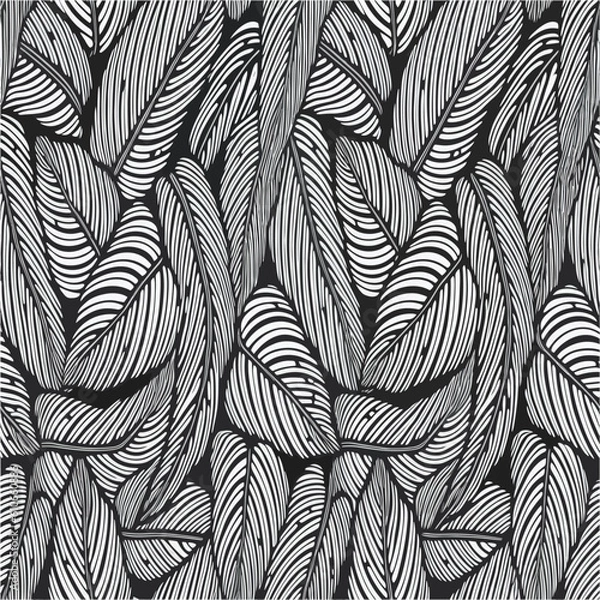 Fototapeta black and white seamless pattern