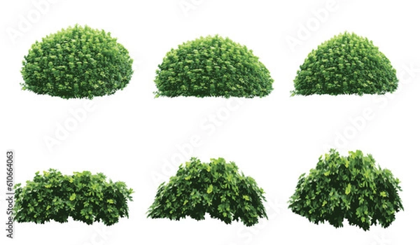 Fototapeta set of bush grass shrub illustration vector transparent background eps 10