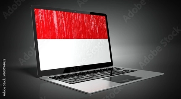 Obraz Monaco - country flag and binary code on laptop screen - 3D illustration