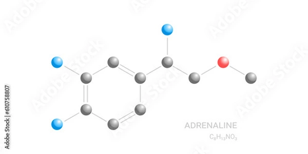 Fototapeta Adrenaline or adrenalin, epinephrine neurotransmitter molecule. Skeletal and chemical formula symbolizes stimulation, chemical process, effect on body, biological reaction. Еransparent background