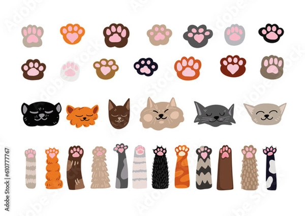 Fototapeta Vector Set of Cat Muzzles and Paw Prints - Cute Doodle Animal Footprints and Stickers