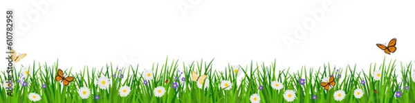 Fototapeta Lush grass with flowers and butterflies background