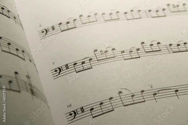 Obraz musica