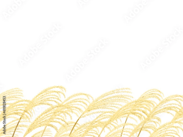 Fototapeta Bottom frame of pampas grass drawn with digital watercolor