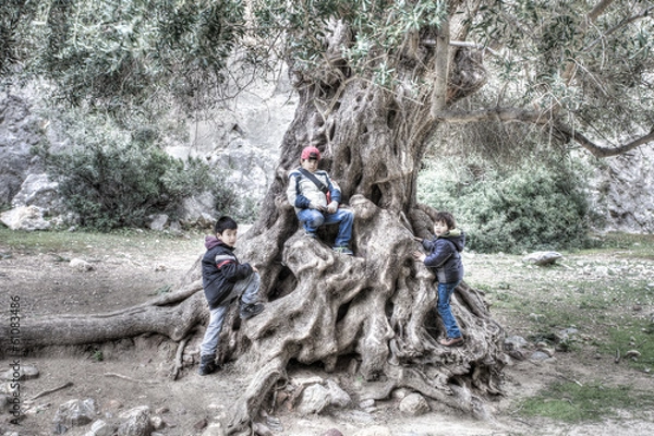 Obraz Three young children playing on a gnarled tree