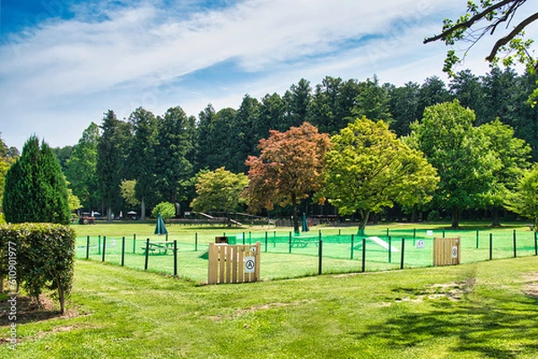 Obraz 牧場に設置されたワンちゃんたちの遊び場　ドッグラン