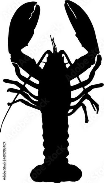 Obraz Silhouette lobster vector