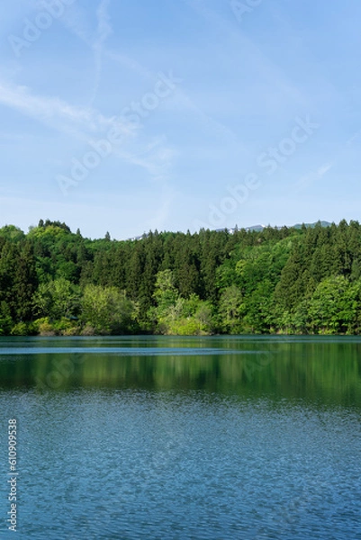 Obraz 森と湖