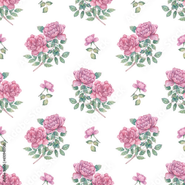 Fototapeta Seamless watercolor pattern with blooming roses. Botanical background for wrapping paper, fabrics, design, etc.