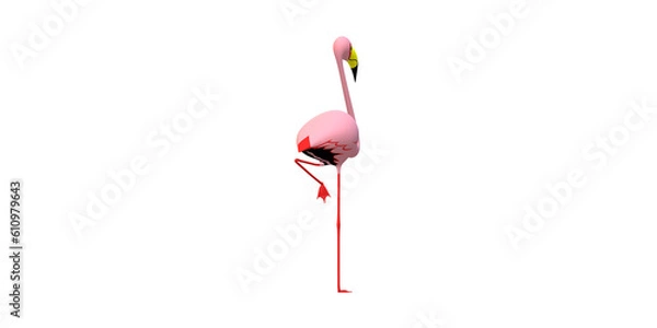 Fototapeta Flamingo isolated on a Transparent Background