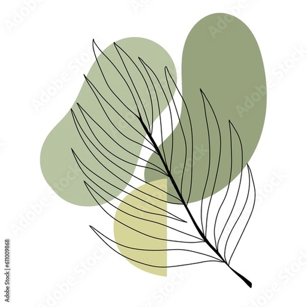 Fototapeta illustration of a leaf, Design background, abstract design, painted leaf, branch, green color, green background, modern design, foliage, elegant design, minimalism