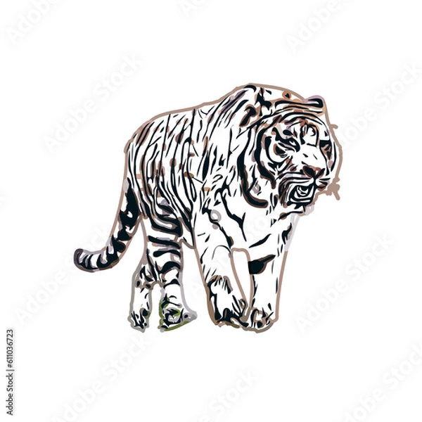 Fototapeta Color sketch of a striped tiger with transparent background