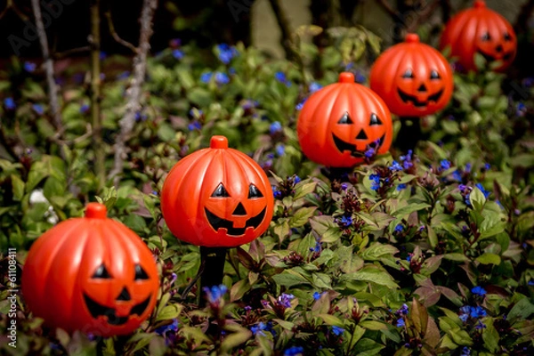 Obraz Halloween Pumpkin Decorations