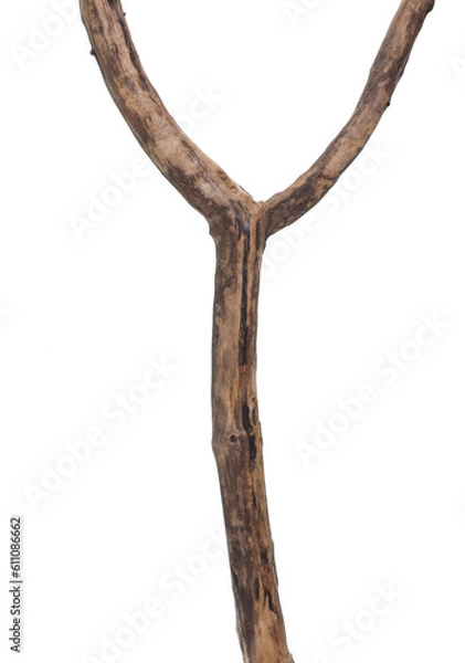 Fototapeta ancient wooden stick shepherd isolated on white background