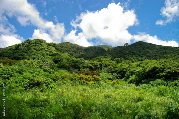 Obraz Jungle hills in Ishigaki