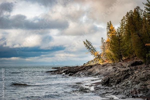 Obraz tree on the beach