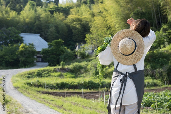 Obraz 野菜を収穫している農家の女性のイメージ 後ろ姿 背景に古民家あり