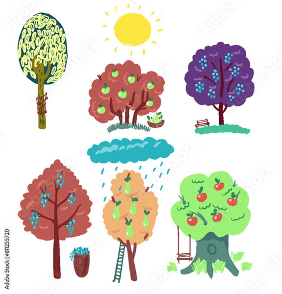 Fototapeta vector illustration of garden trees with fruits, illustration on white background of fruit trees