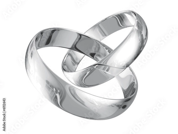 Obraz Silver Wedding Rings